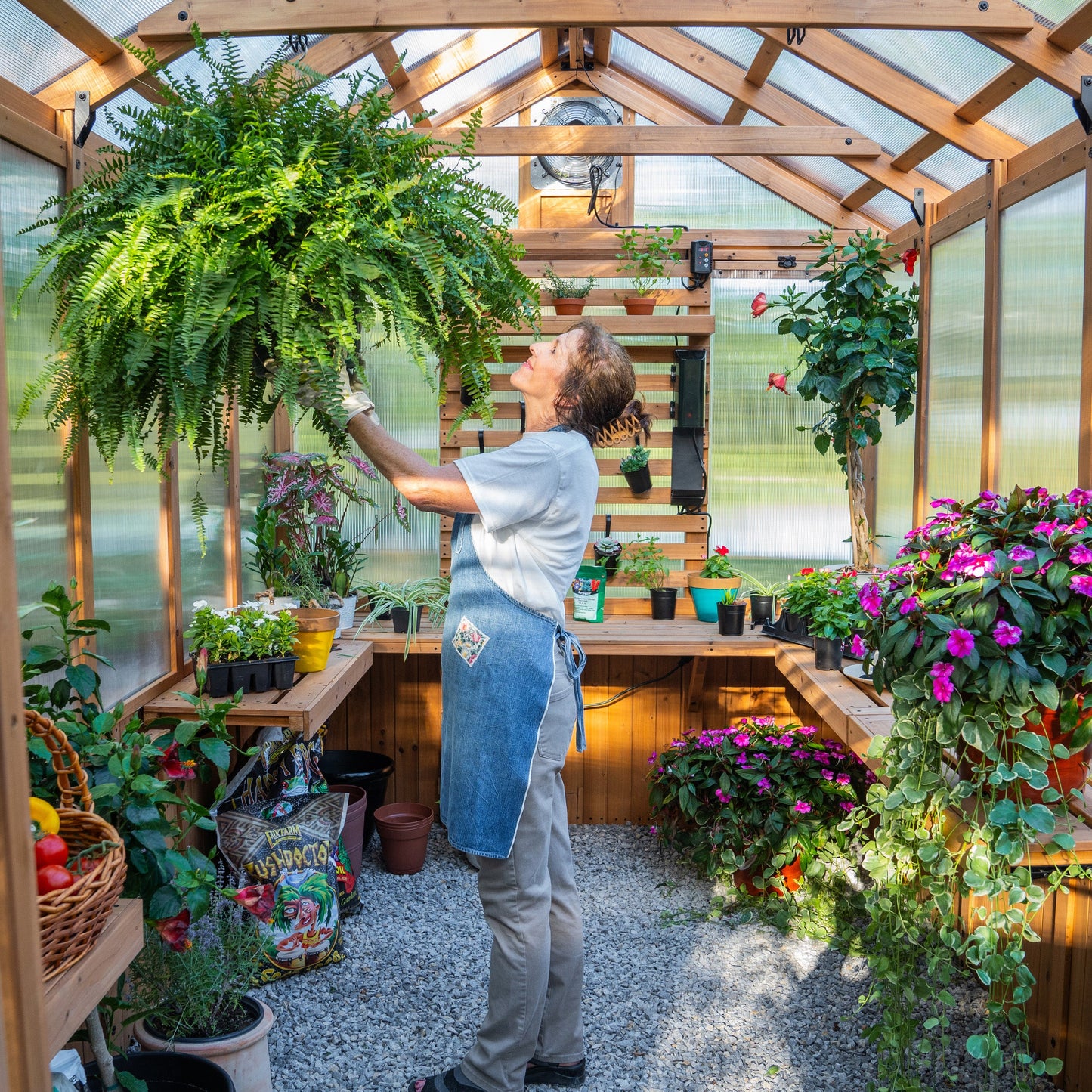 11x7 Bellerose Greenhouse