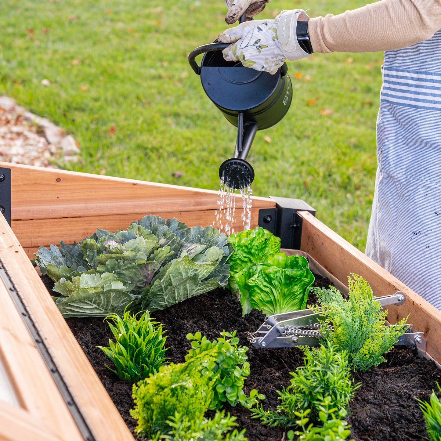 Aggie Cold Frame Box