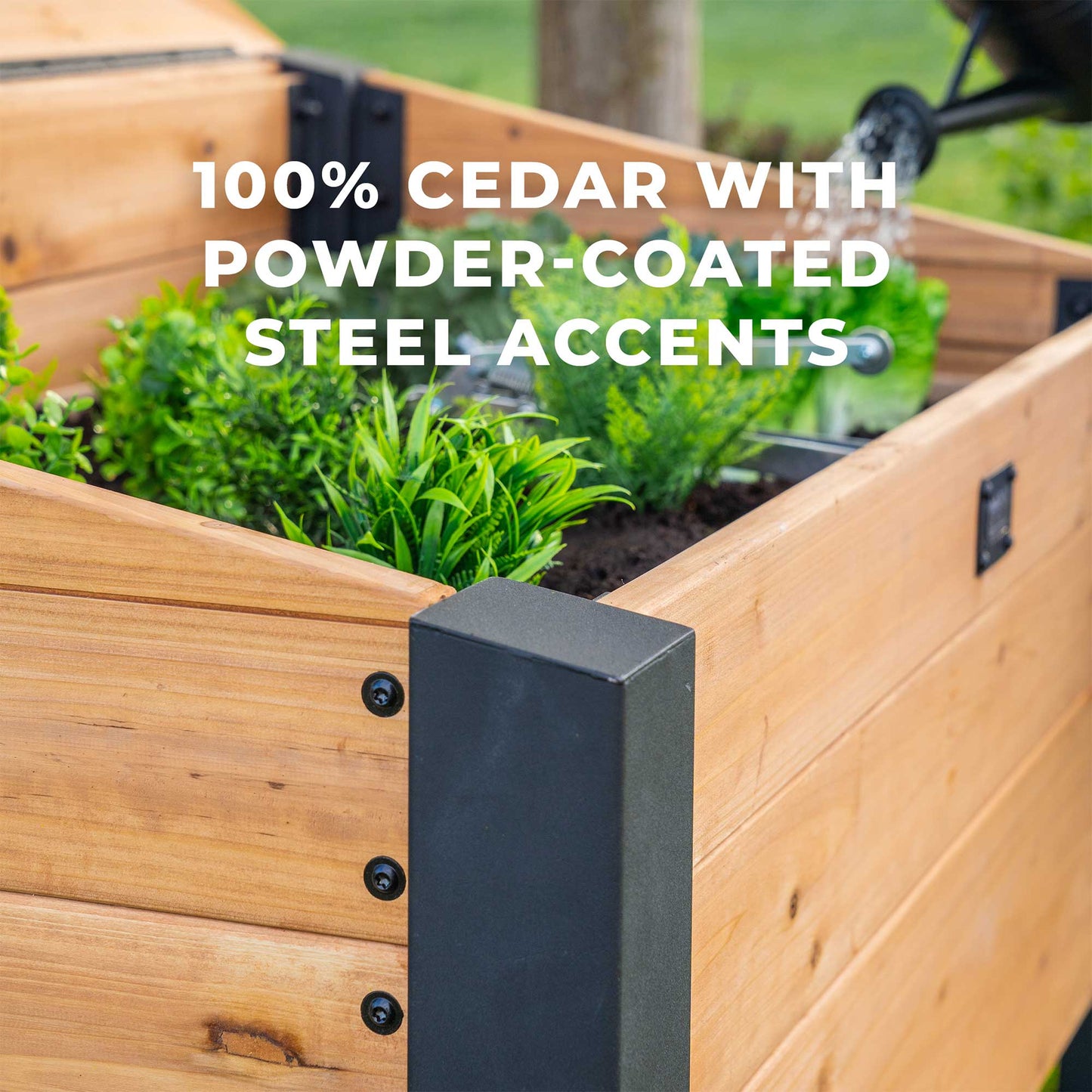 Aggie Cold Frame Box