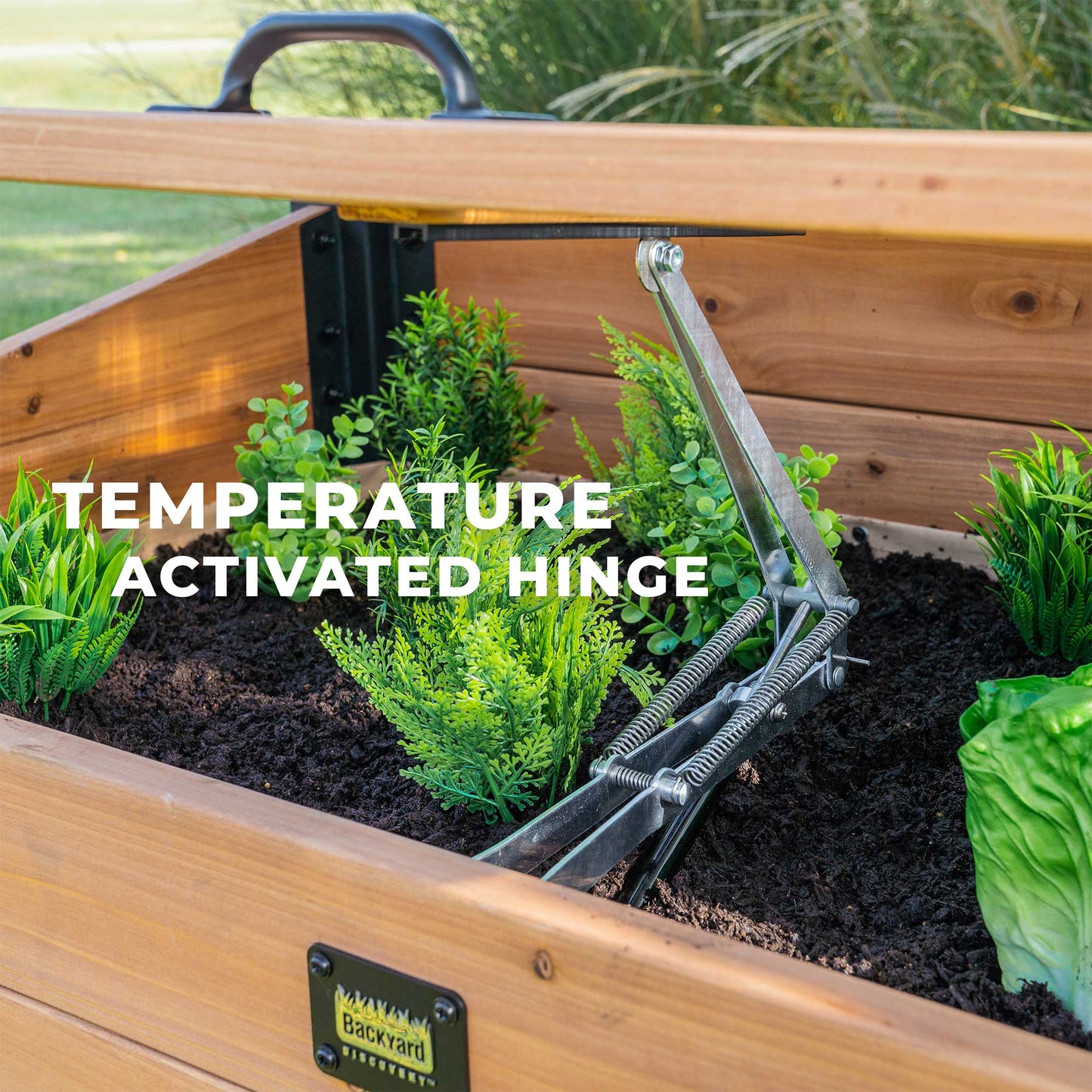 Aggie Cold Frame Box